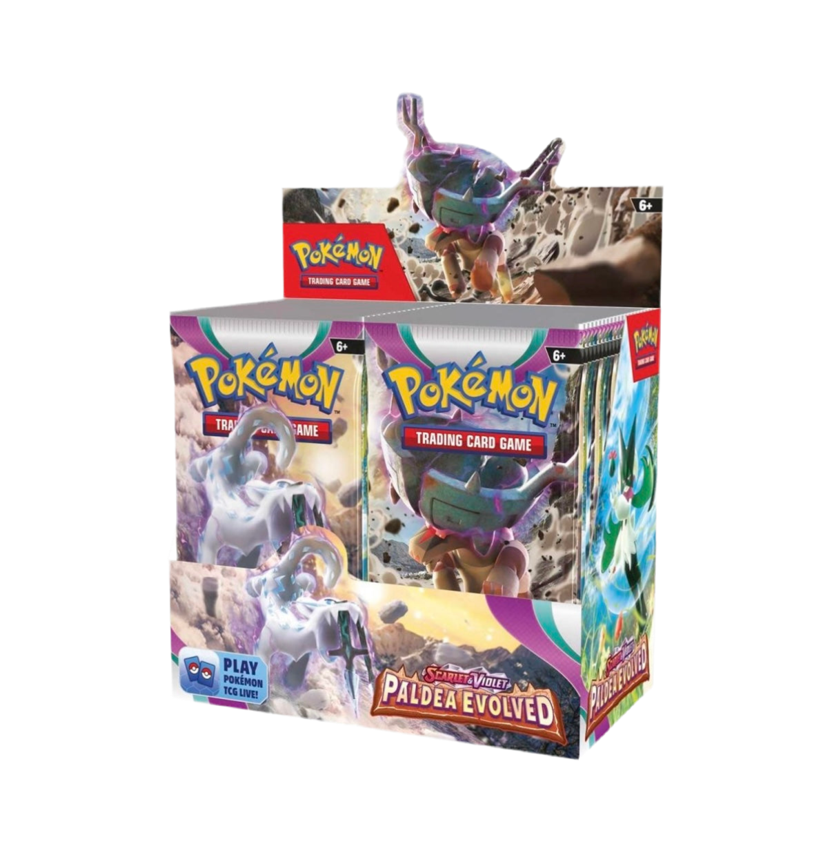 Paldea Evolved Booster Box